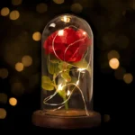 Čarobna ruža sa led